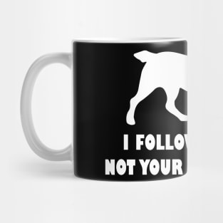 BOYKIN SPANIEL IFOLLOW MY NOSE NOT YOUR SUGGESTIONS Mug